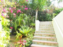 Seng Yong Villas (D14), Terrace #170707532